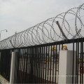 Stainless steel barbed razor wire/ SS304 razor wire